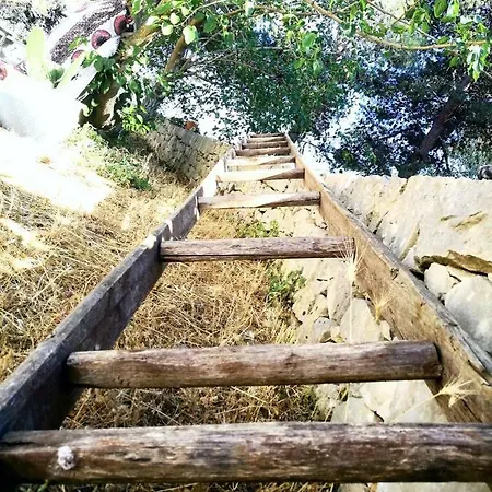 Il Fico Ostuni