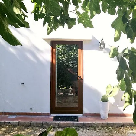 Guest house Il Fico *