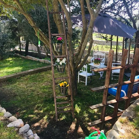 Guest house Il Fico